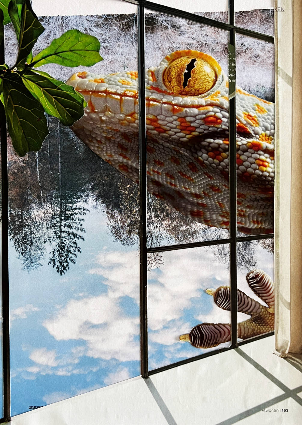 House in the wilderness