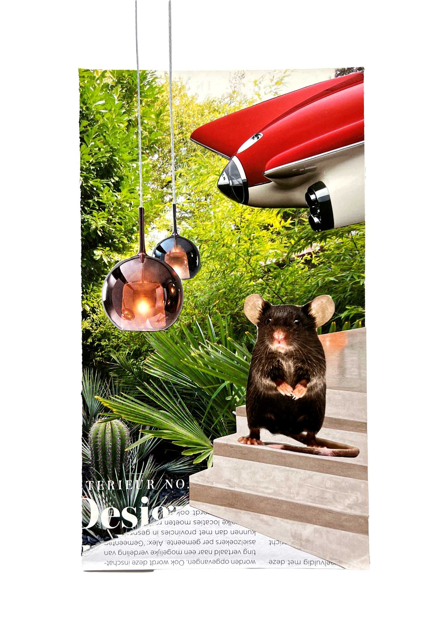 Mouse, James Mouse